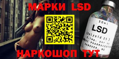 стафф Будённовск