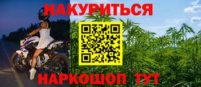 стафф Будённовск