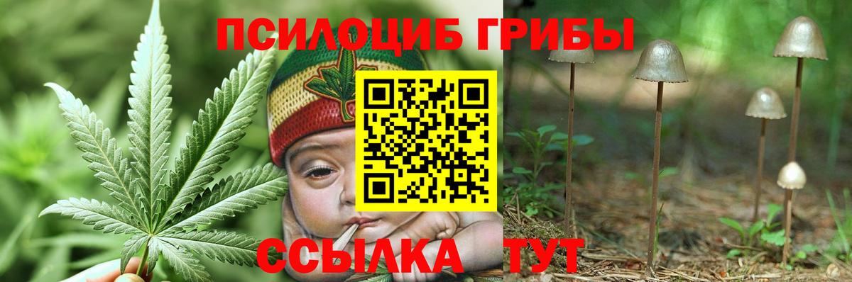Галлюциногенные грибы MAGIC MUSHROOMS Норильск