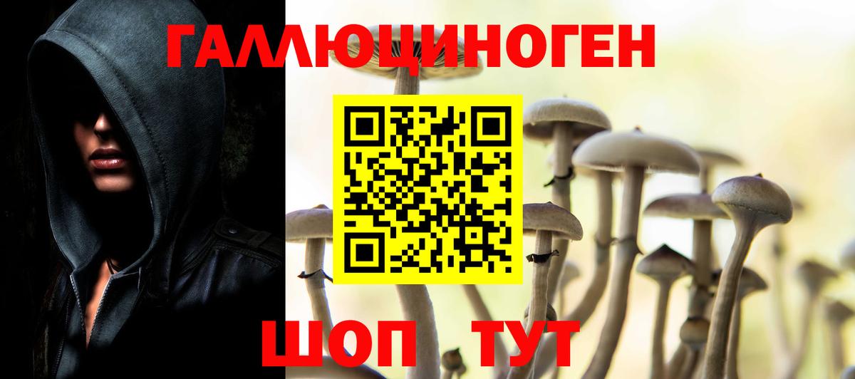 Псилоцибиновые грибы Magic Shrooms  Псилоцибиновые грибы ЛСД  Норильск  Вход с VPN 